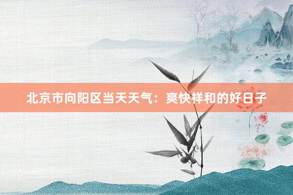 北京市向阳区当天天气：爽快祥和的好日子